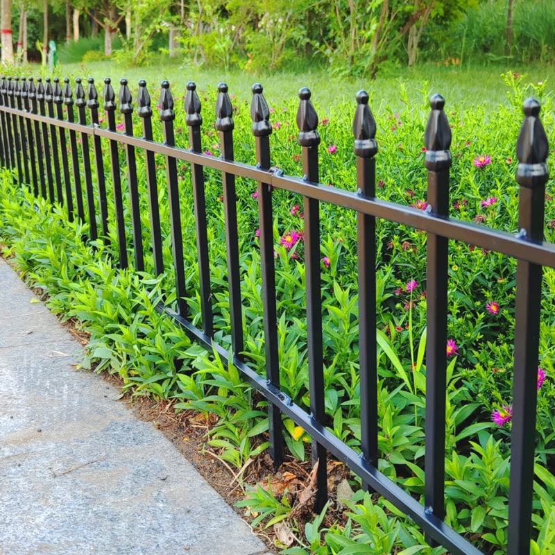 Iron Fence near Murphy